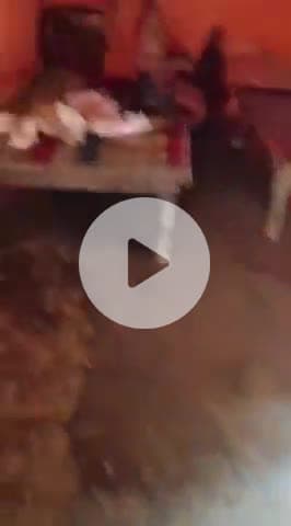 मंझनपुर: रामजानकी मंदिर में एक पुजारी की गलत हरकतों का वीडियो वायरल, ग्रामीणों ने कार्रवाई की उठाई मांग