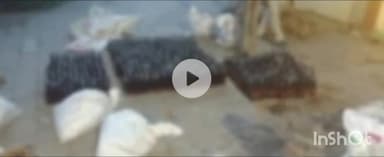 बेगूसराय: मधुरापुर पुवारी टोला में खेत से पुलिस ने 537 लीटर विदेशी शराब बरामद की, एसपी ने दी जानकारी