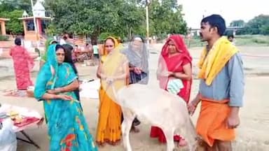 सुल्तानपुर: सुल्तानपुर जिले में गुरु पूर्णिमा के पर्व पर श्रद्धालुओं ने गोमती नदी में स्नान किया और दान पुण्य दिया