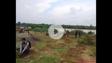 मऊरानीपुर: गुरु पूर्णिमा पर्व पर वरौरा में पुरानी माता मंदिर के ग्राउंड में ग्राम प्रधान ने किया वृक्षारोपण, 2500 हरे पेड़ लगाए गए