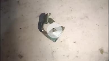 कटिहार: बैगना में चोरों ने बंद पड़े रेल क्वार्टर में मचाया उत्पात, ₹300000 का सामान लेकर फरार