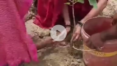 सुल्तानपुर: पर्यावरण संरक्षण की अनूठी पहल: रानीतारा सरोवर पर ग्रामीणों ने मां के नाम पर लगाए पीपल समेत कई पौधे