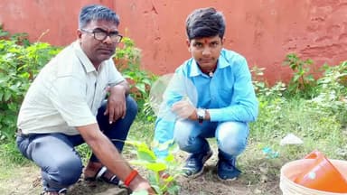 कुटुंबा: पीएमश्री मध्य विद्यालय में 'मां के नाम 2.0' अभियान के तहत बच्चों ने लगाए पौधे, ई-सर्टिफिकेट भी प्राप्त हुआ