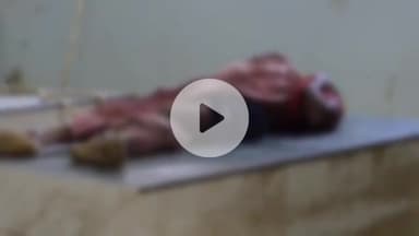 बेगूसराय: बेगूसराय में सड़क दुर्घटना में हुई मौत, परिजनों में कोहराम, पुलिस जांच में जुटी