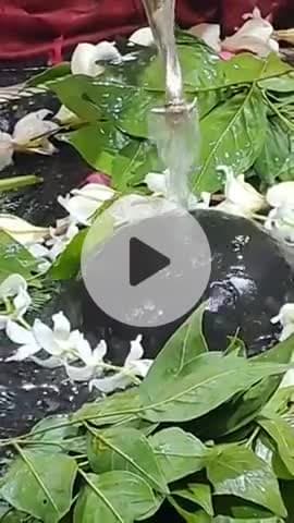 श्रावण महा की हार्दिक शुभकामनाएं🔱😍