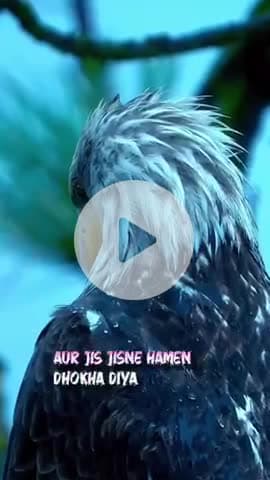 #गुरुपूर्णिमा #श्रीकृष्ण #maavindhyawasini #श्रीराधे #राधेकृष्ण #radhe #hanuman #ram #hari #narayan #sitaram #ishwar