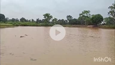 मेदिनीनगर (डालटनगंज): झारखंड: मौसम विभाग रांची ने पालमु सहित पांच जिलों में भारी बारिश का येलो अलर्ट जारी किया, जनजीवन प्रभावित