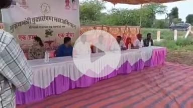 मारवाड़ जंक्शन: मारवाड़ जंक्शन के भगवानपुरा गांव में ब्लॉक स्तरीय मुख्यमंत्री वृक्षारोपण महा अभियान की हुई शुरुआत