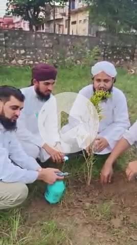 दावते इस्लामी इंडिया के डिपार्टमेंट गरीब नवाज रीलीफ फाउंडेशन द्वारा आज  kota में पौधारोपण किया गया,