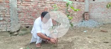 गुरु पूर्णिमा के दिन आम  का पौधा लगाकर गुरु को समर्पित किया🙏🙏