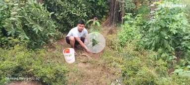 एक पेड़ मां के नाम, महाभियान के अंतर्गत भाजपा मंडल महामंत्री डॉ प्रेमशंकर मौर्या ने निवास दियोराजपुर में किया वृक्षारोपण