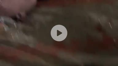 पलवल: पलवल-सोफ्टा गांव में बारिश से पेट्रोल पंप की दीवार गिरी, दो मजदूरों की मौत, 4 घायल