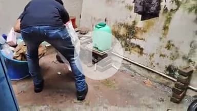 लाडपुरा: रामपुरा इलाके के गुलाबबाड़ी में एक घर में घुसी जंगली छिपकली मॉनिटर लिजार्ड, परिवार में दहशत के बाद किया रेस्क्यू