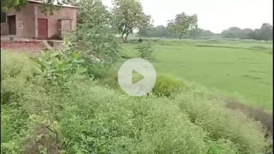 मंझनपुर: राजस्व घाटे पर डीएम ने दिए जांच के आदेश, सालेहपुर में विक्रय विलेख से ₹75 हाजर 480 की हानि उजागर