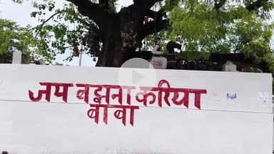 जयसिंहपुर: करिया बझना स्थल धाम पर हर वर्ष लगता है विशाल भव्य मेला, मनोकामना पूरी करने के लिए पहुंचा करते हैं दूर दराज के श्रद्धालु