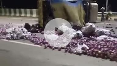 सिराथू: आगरा से प्रयागराज बैगन लादकर जा रही पिकअप शहज़ादपुर के पास हाइवे पर पलटी, सड़क पर फैला बैगन