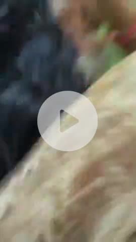 टीकमगढ़: कीचड़ फैलने के विरोध पर आस्तोन गांव में दंपति से मारपीट, पुलिस ने 3 पर FIR की, वीडियो वायरल