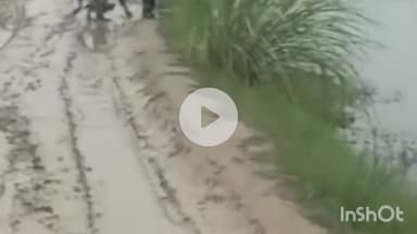 पलवल: भोलडा में यमुना किनारे का रास्ता बना मुसीबत: ग्रामीण परेशान, स्कूली बच्चों को जान का खतरा#jansamashya