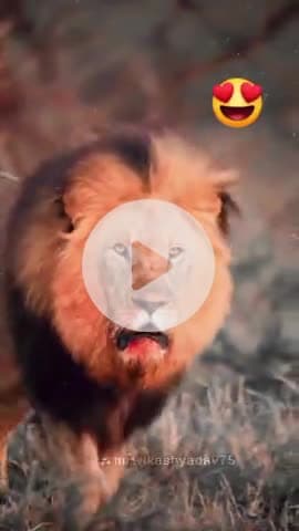 #श्रावणमास #सावन #saavan #श्रीकृष्ण #maavindhyawasini #श्रीराधे #राधेकृष्ण #radhe #hanuman #ram #hari #narayan #sitaram