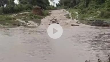 सीतामऊ: नाहरगढ़ और ग्राम बनी में भारी बारिश से नदी-नाले उफान पर, किसानों का कुएं पर जाने का मार्ग हुआ बंद