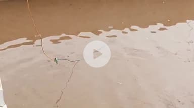 स्लीमनाबाद: भरतपुर में विभागीय लापरवाही से खतरे की घंटी, बारिश में टूटी बिजली की तारें दुर्घटना का कारण बन सकती हैं