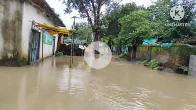 राहे: राहे में बारिश से आफत, 200 से अधिक परिवार प्रभावित