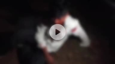 सेन्हा: सेन्हा बक्सीडीपा में अज्ञात वाहन की टक्कर से युवक व मिस्त्री गंभीर रूप से घायल, सेन्हा पुलिस कर रही जांच