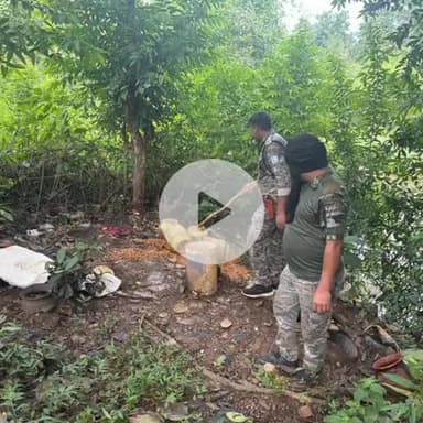 चांडिल: जुरगु गांव में अवैध महुआ शराब के खिलाफ चौका पुलिस और एसएसबी का छापामारी अभियान