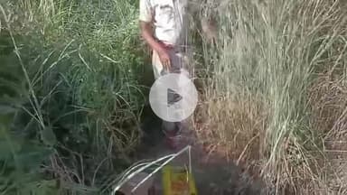 मोतिहारी: मोतिहारी ALTF टीम ने विभिन्न थाना क्षेत्रों से देसी शराब बरामद की, 5 लोगों को किया गिरफ्तार