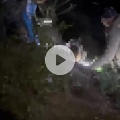 टापरी: किन्नौर के युला गाँव के समीप खाई में गिरा वाहन, वाहन के उड़े परखचे