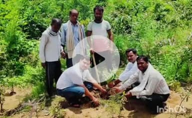 एत्मादपुर: गांव भागूपुर में वृक्षारोपण महा अभियान के अंतर्गत प्रधान ने किया वृक्षारोपण