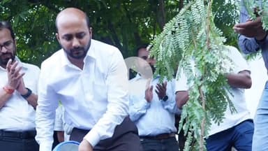 कोडरमा: ग्रीन तिलैया, क्लीन तिलैया" अभियान के तहत सुभाष चौक पर उपायुक्त ने किया पौधारोपण