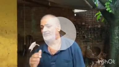 कटकमसांडी: भारी बारिश से कटकमसांडी के पशुपालक और किसान परेशान, जिला प्रशासन से मदद की गुहार