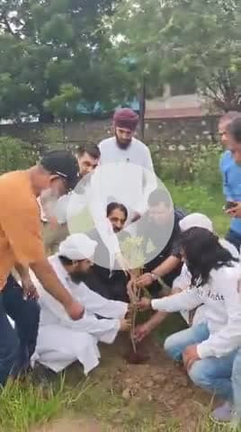 plantation by GNRF kota......