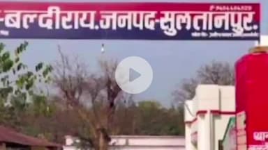 बल्दीराय: चक्कारी भीटी मोड़ पर मोटरसाइकिल नीलगाय से टकराई, दो युवक हुए घायल