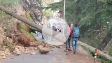 भटवाड़ी: हर्षिल के पास पेड़ गिरने के कारण अवरुद्ध हुआ राष्ट्रीय राजमार्ग यातायात के लिए हुआ बहाल