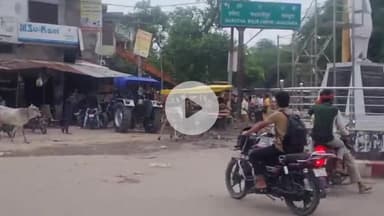 मऊरानीपुर: गरौठा चौराहे के पास सांडों के बीच वर्चस्व की लड़ाई, बीच सड़क पर दिखे सांड, लोग दहशत में, वीडियो वायरल