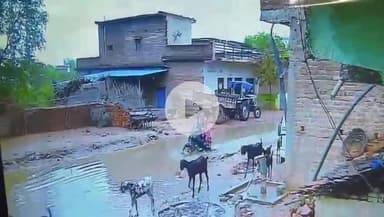 टीकमगढ़: बैरवार दिगौड़ा रोड पर पानी से भरे गड्ढे में बाइक सहित गिरे पति-पत्नी और बच्चा, घटना सीसीटीवी में कैद