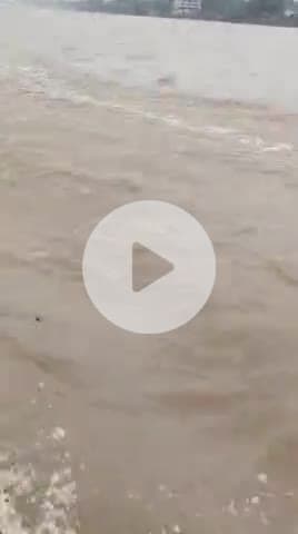 संत रविदास घाट के पास NDRF की तत्परता और बहादुरी से एक युवक की जान बचाई गई