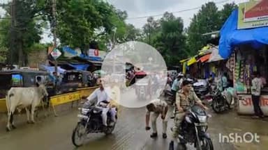 श्योपुर: जनसंख्या नियंत्रण कानून जल्द लागू हो: राष्ट्रीय हिन्दू फ्रंट ने रैली निकालकर कलेक्ट्रेट पर किया प्रदर्शन