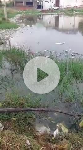 *डूंगरपुर रीलका गांव का तालाब हुआ ओवरफ्लो घरों में घुसा पानी नहीं है पानी निकासी के साधन yeida कर रहा विकास के दावे