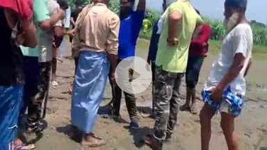 पूरनपुर: शेरपुर कला गांव के पास चारों ओर घूम रहा बाघों का कुनबा, ग्रामीणों में दहशत का माहौल, वन विभाग निगरानी में जुटी