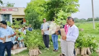 वैर: बांसी गांव के राजकीय उच्च माध्यमिक विद्यालय में हरियालो राजस्थान अभियान के तहत 551 पौधों का किया गया रोपण