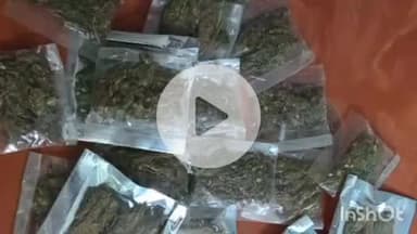 भभुआ: दुर्गा टॉकीज हॉल के पास गुमटी से पुलिस ने 22 पुड़िया गांजा के साथ दुकानदार को किया गिरफ्तार