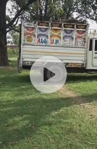 नवाबगंज: वन विभाग के नियमों की उड़ाई जा रही धज्जियां, ढिंढोरा गांव में बिना अनुमति के काटे गए हरे पेड़