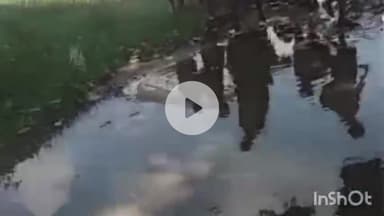 कन्नौज: बैसवारी गांव में सड़कें जलमग्न, प्राथमिक विद्यालय पहुंचने में छात्रों को हो रही भारी समस्या, संबंधित बने अनजान