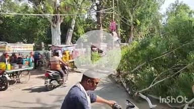 आरा: रमना मैदान के समीप सड़क पर गिरा पेड़, आवागमन बाधित; गाड़ियों की लगी लंबी कतार
