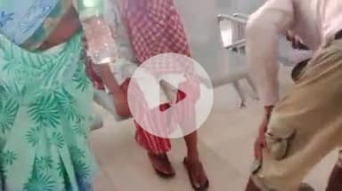 गुमला: सदर थाना क्षेत्र के अलग-अलग गांव में सांप के काटने से 2 लोग घायल, सदर अस्पताल में इलाज किया गया