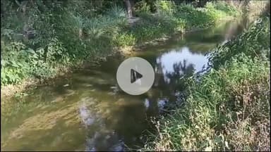 बड़ौत: बावली में नहर में मिला युवक का शव, हाथ पर महाकाल का टैटू बना था, शिनाख्त नहीं हो पाई