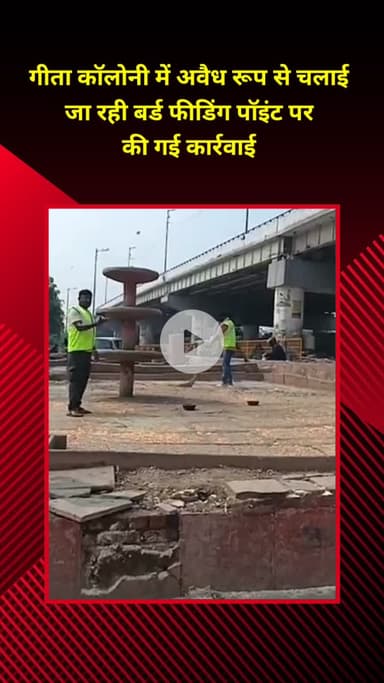 प्रीत विहार: गीता कॉलोनी में अवैध बर्ड फीडिंग पॉइंट पर हुई कार्रवाई